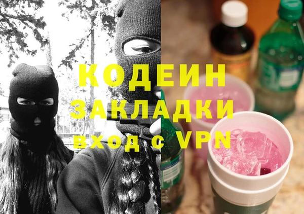 трава Няндома