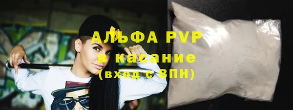 трава Няндома