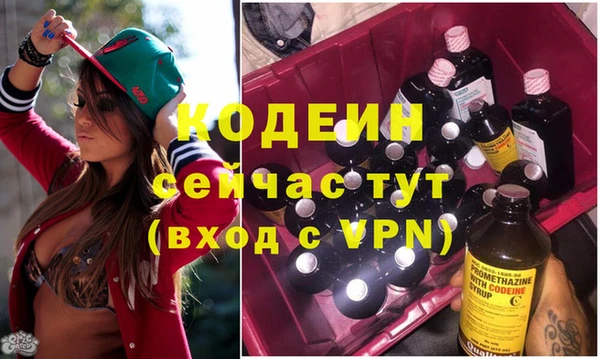 трава Няндома