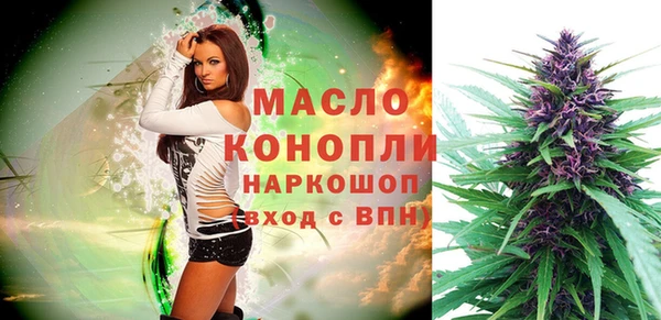 трава Няндома