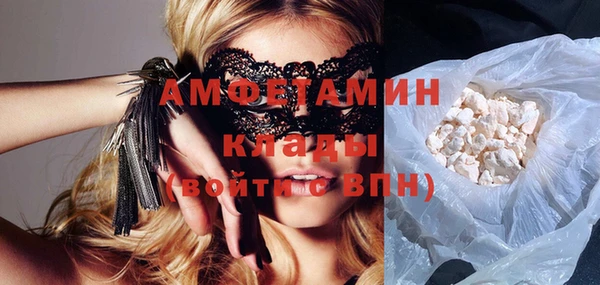 трава Няндома