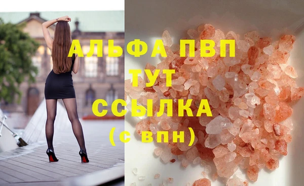 трава Няндома