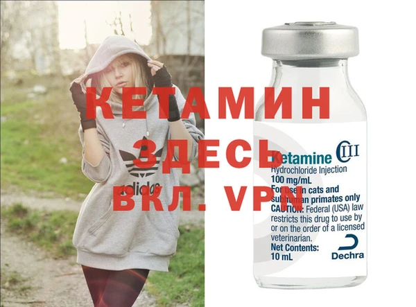 трава Няндома
