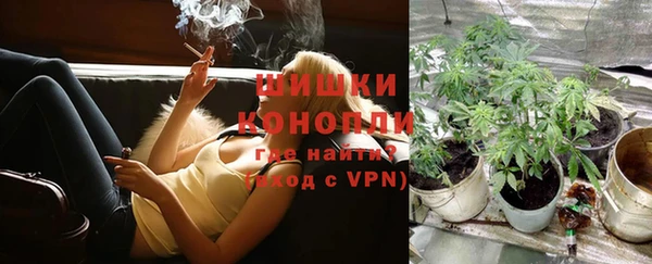шишки Новодвинск