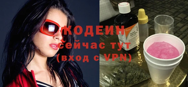 трава Няндома