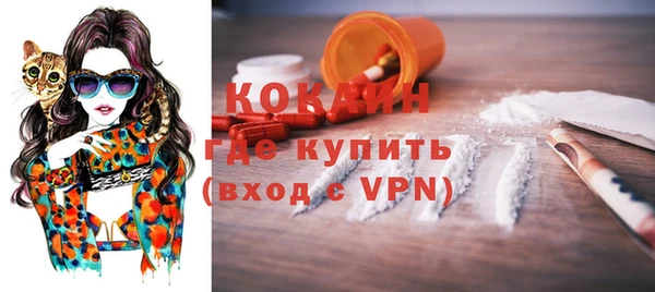 трава Няндома