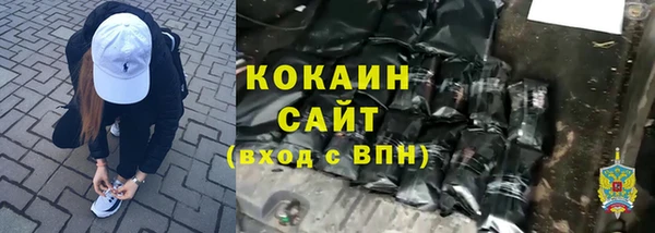 трава Няндома